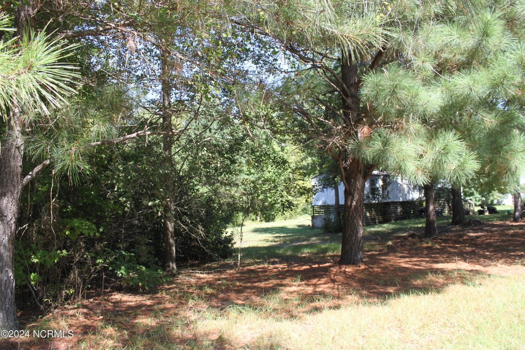 Picture 18