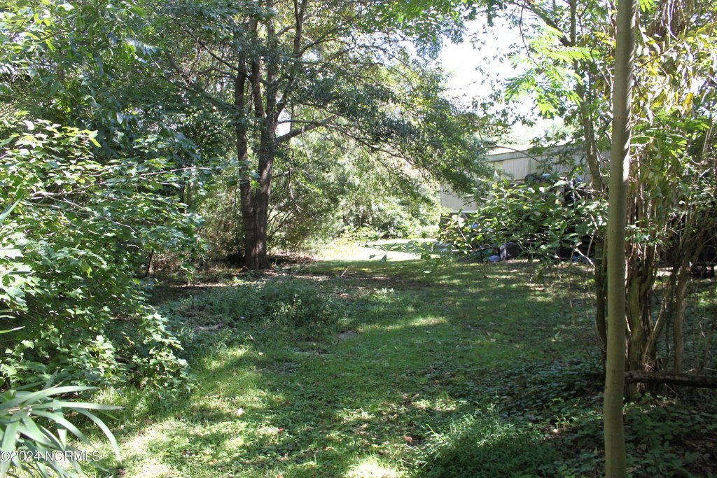 Picture 10
