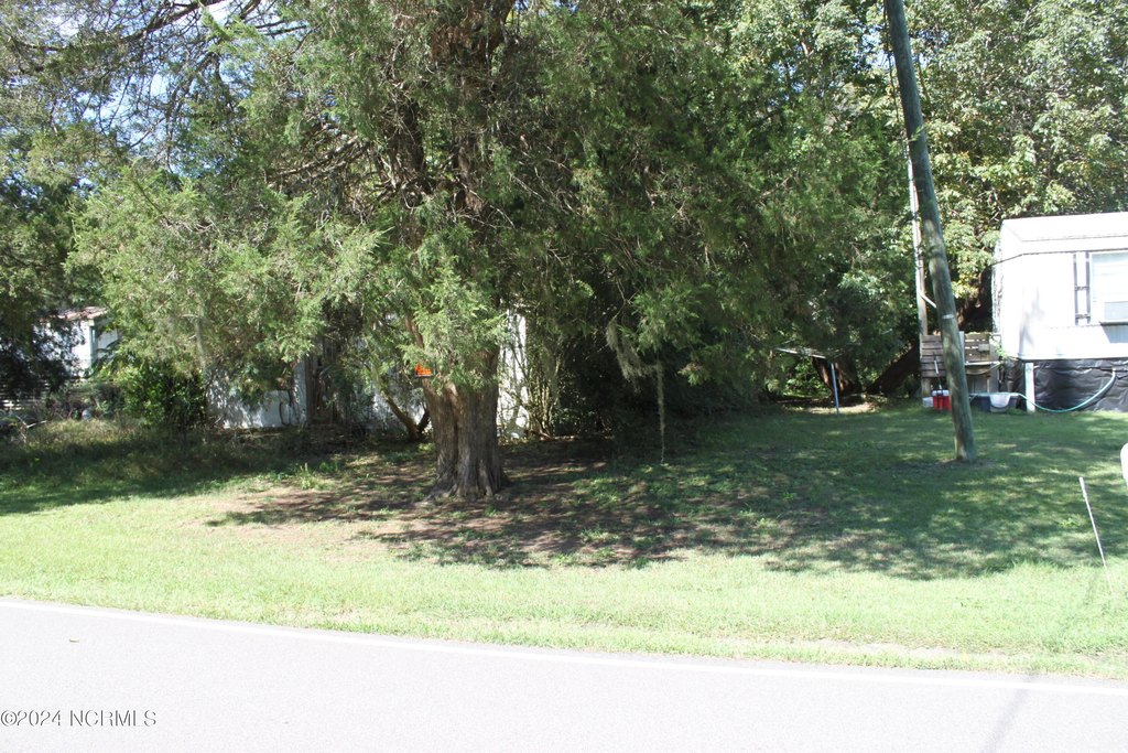 Picture 29