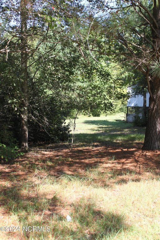 Picture 14