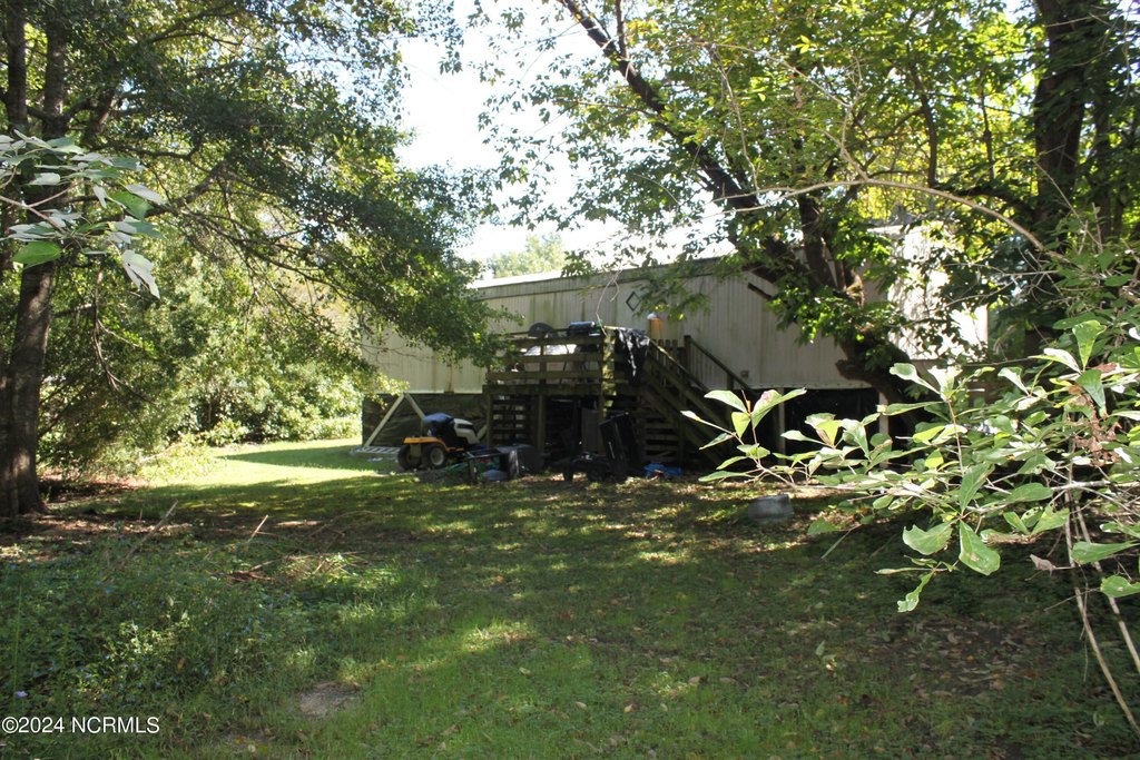Picture 25
