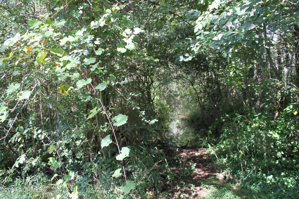 Picture 22