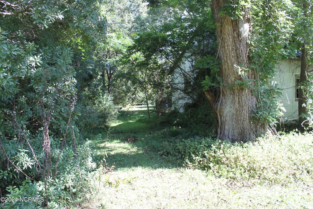 Picture 23