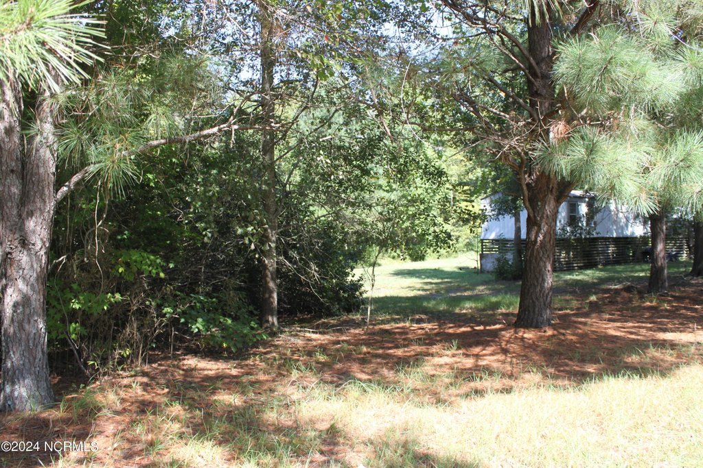 Picture 13