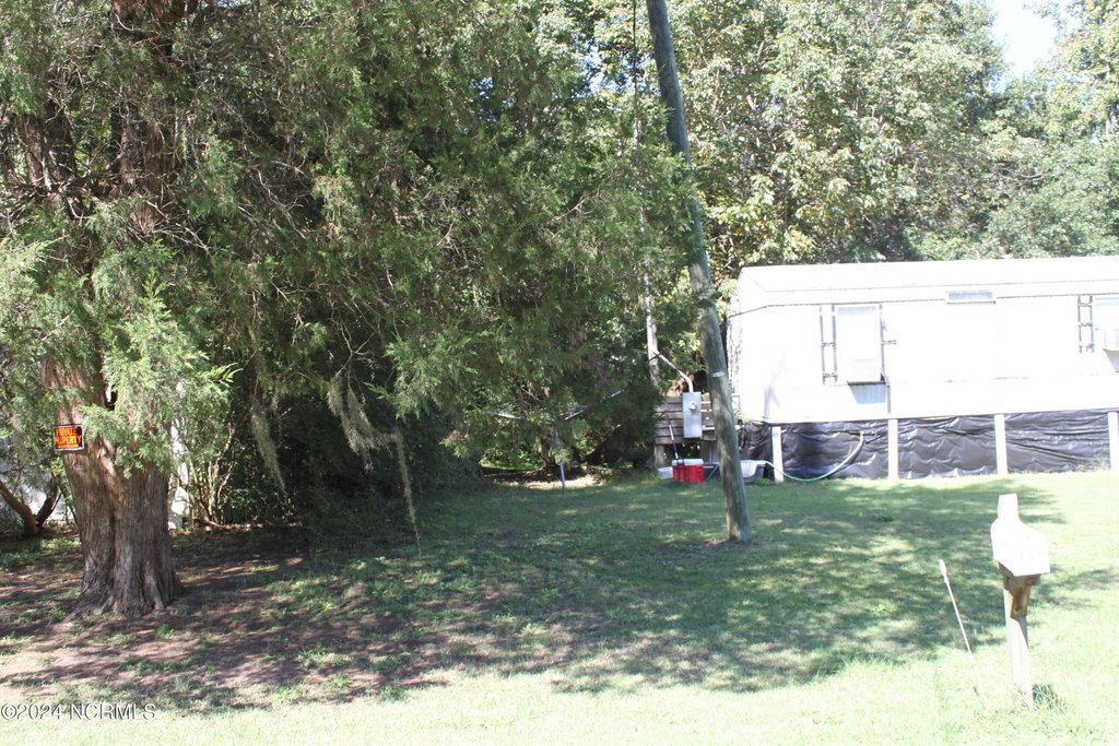 Picture 30
