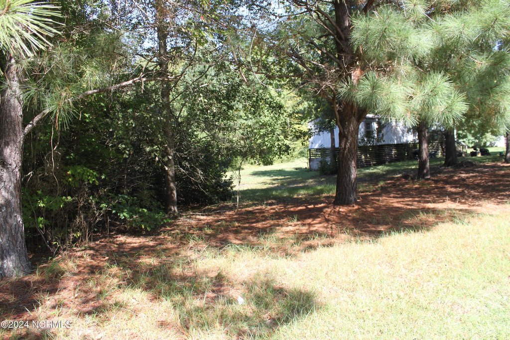Picture 15