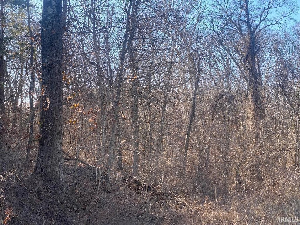 Picture 2