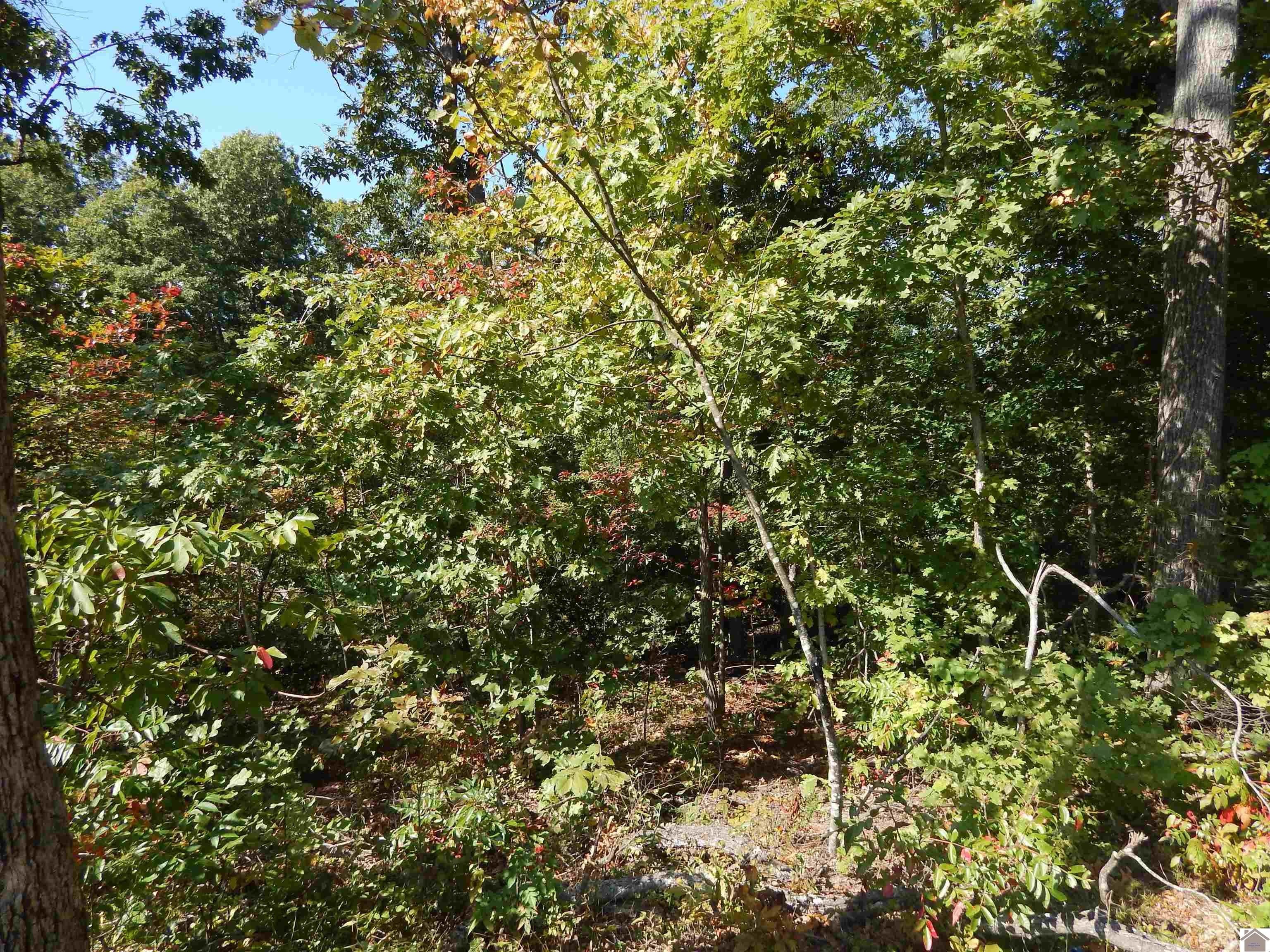 Waterfront Lot on Private Lake