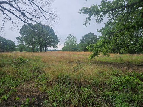 3 Acre Paris Land Tract