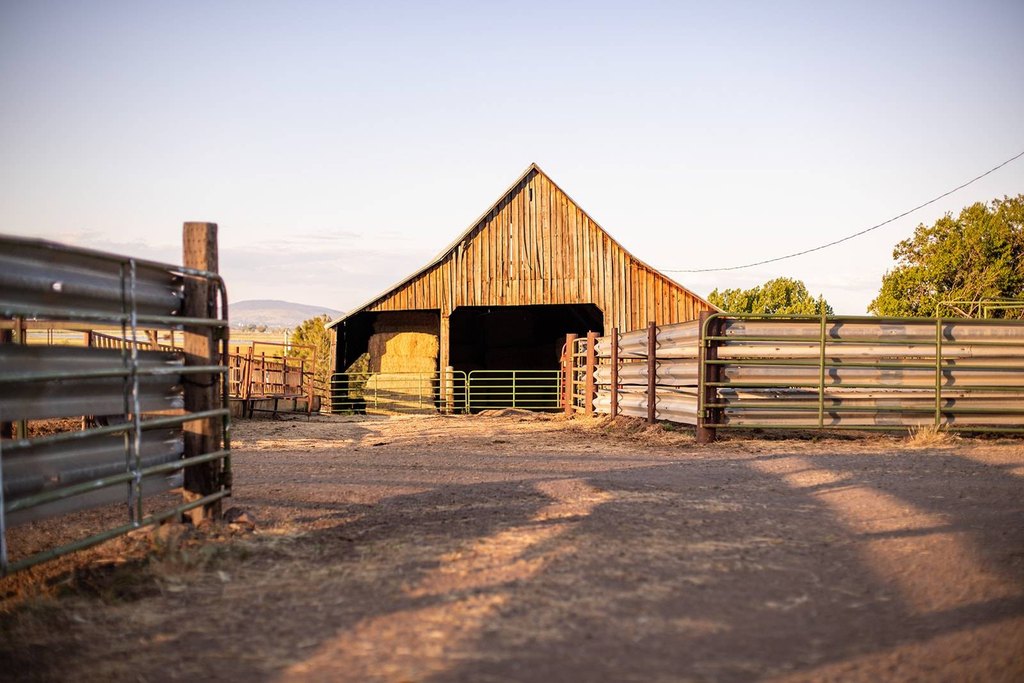 Picture 16