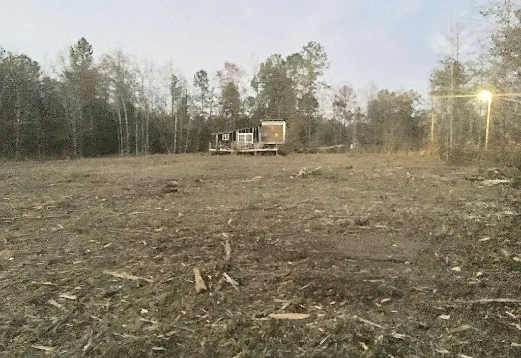 Picture 3