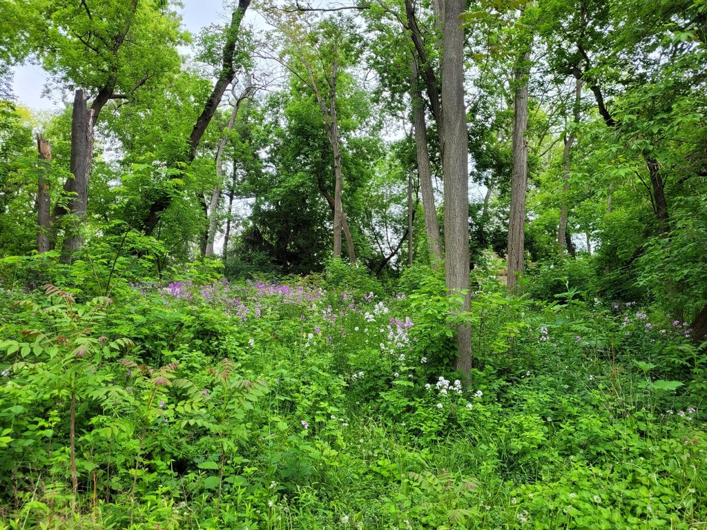 Picture 5