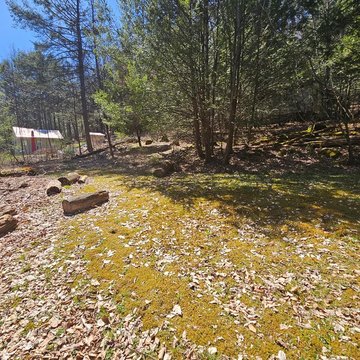 Land Near Elk State Forest