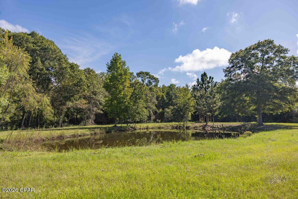Picture 27