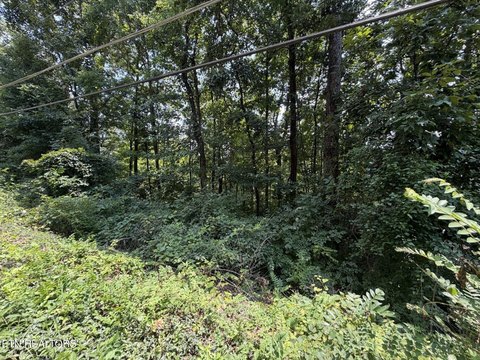 Lots & Acreage, Knoxville, TN