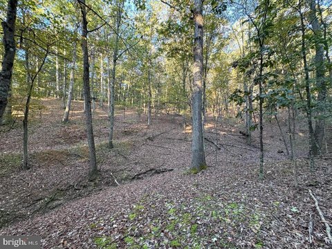 Unrestricted Hunting and Recreational Land