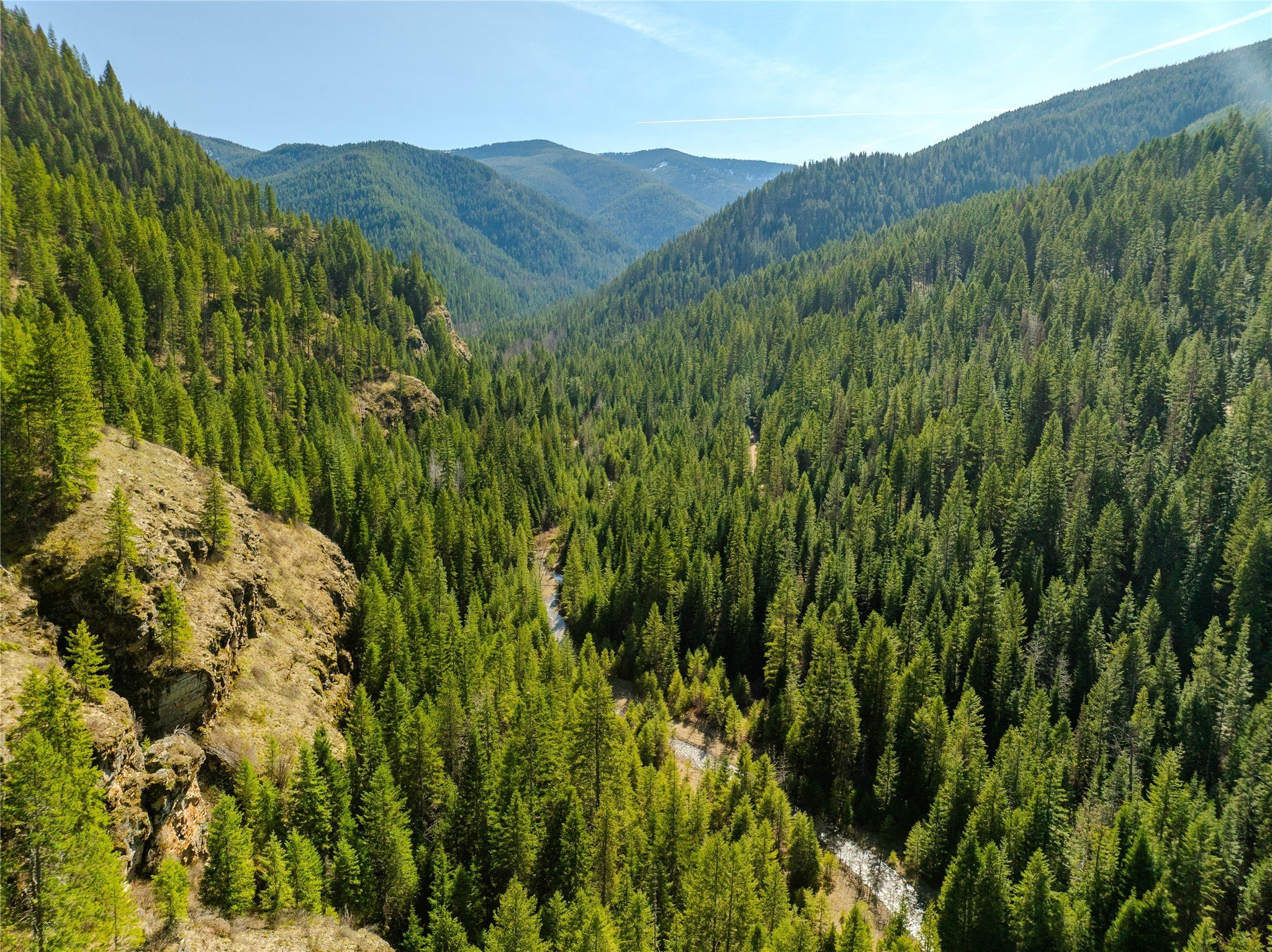 Montana Land within US Forest