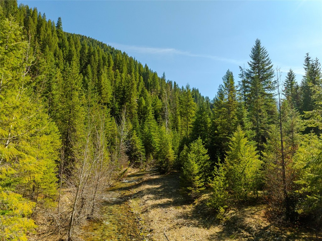 Picture 32
