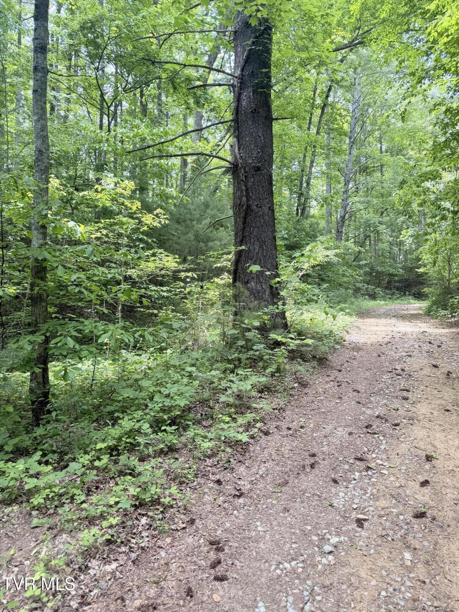 Unrestricted Mountain Property For Sale