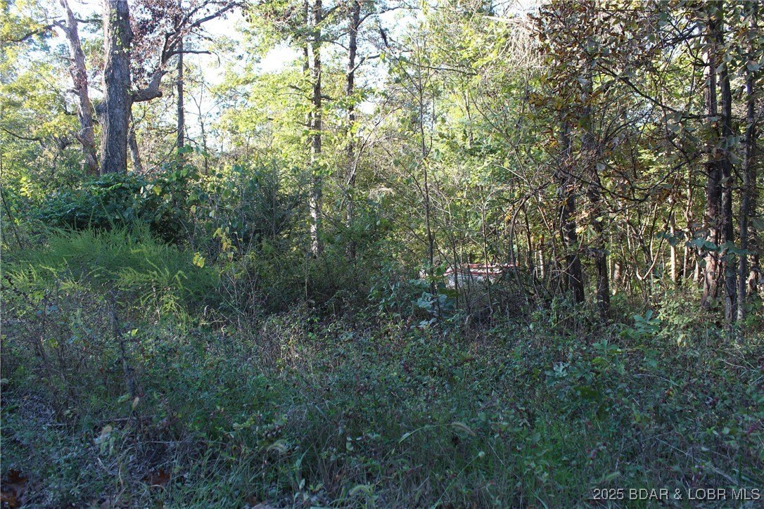Land in Stover, Missouri