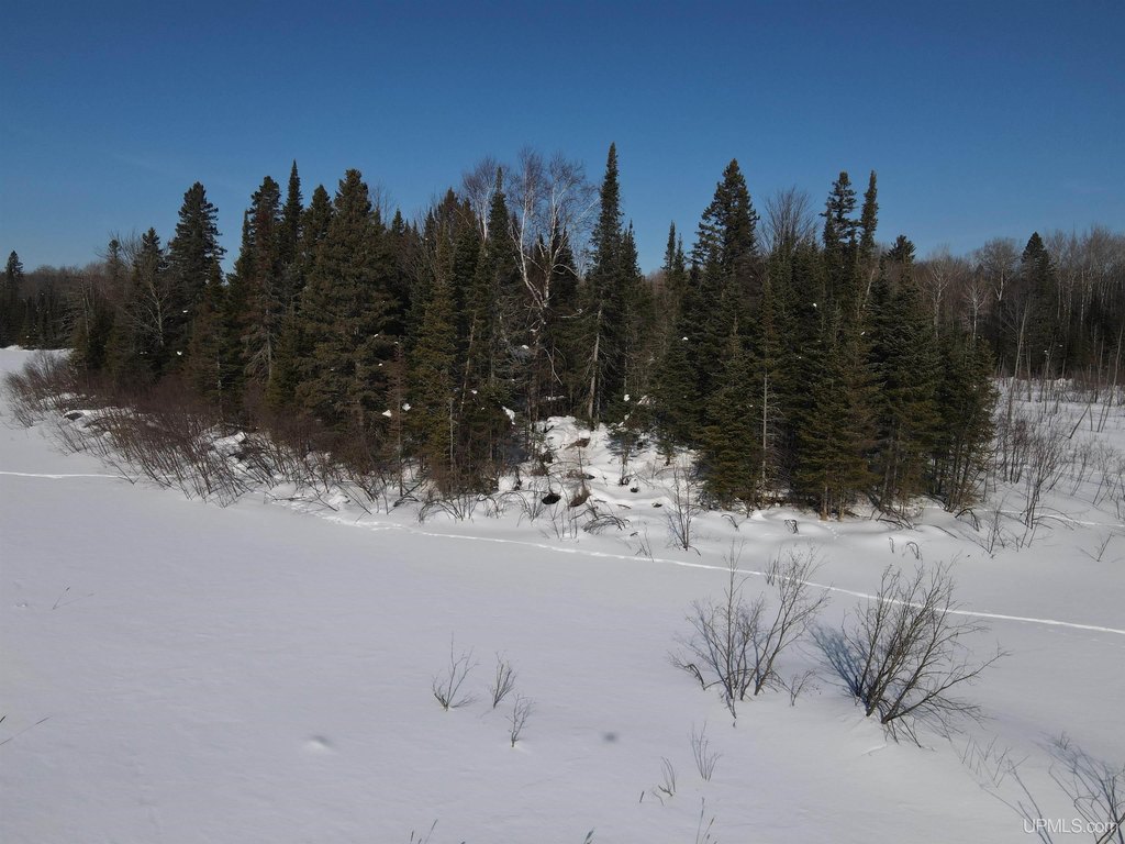 Picture 17