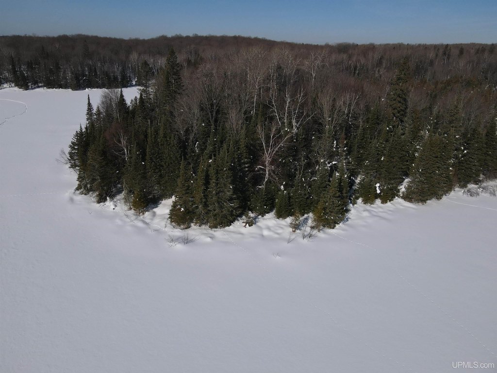 Picture 19