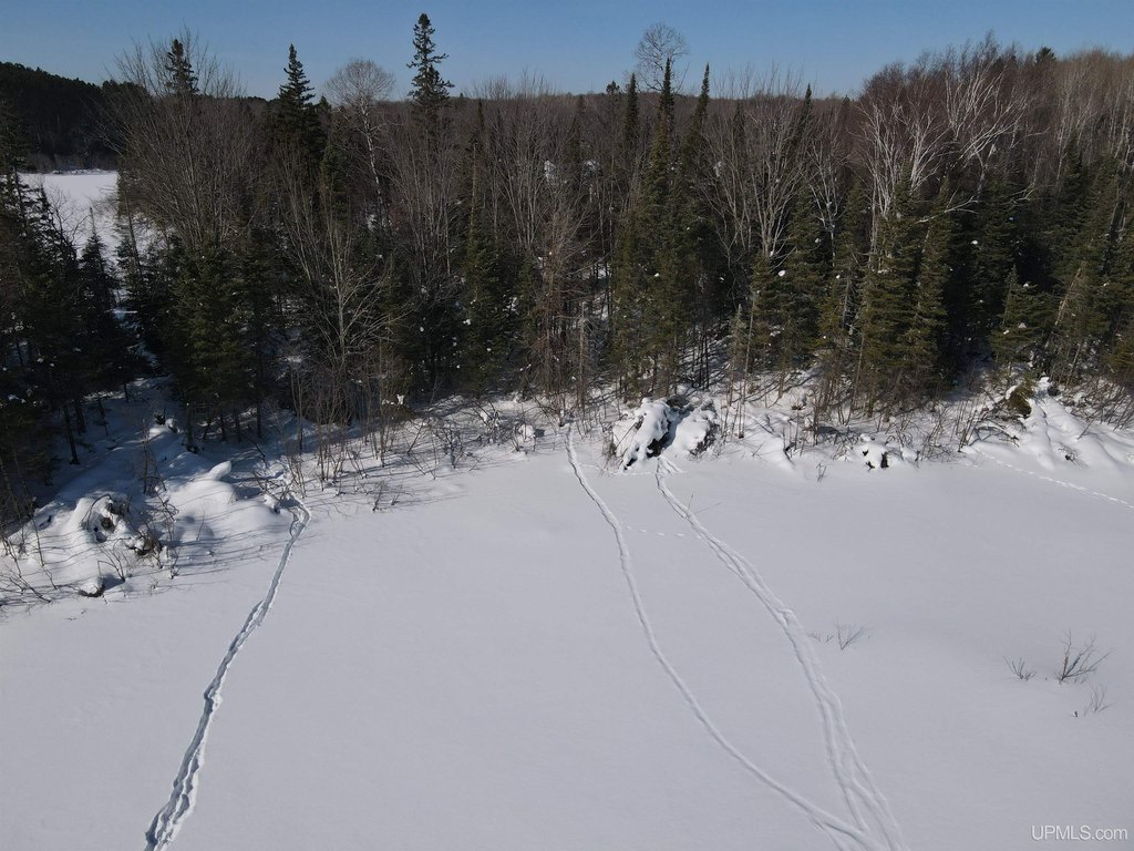 Picture 15