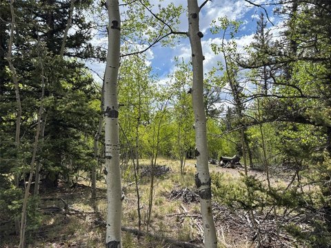 Land in Indian Mountain Community