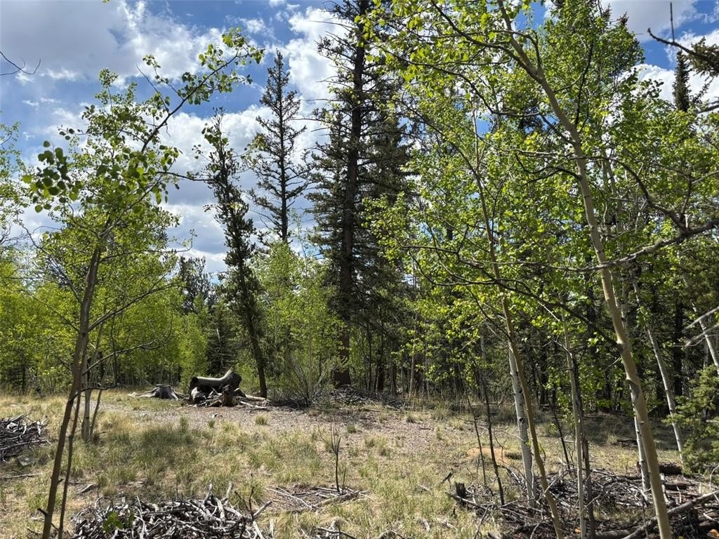 Picture 3