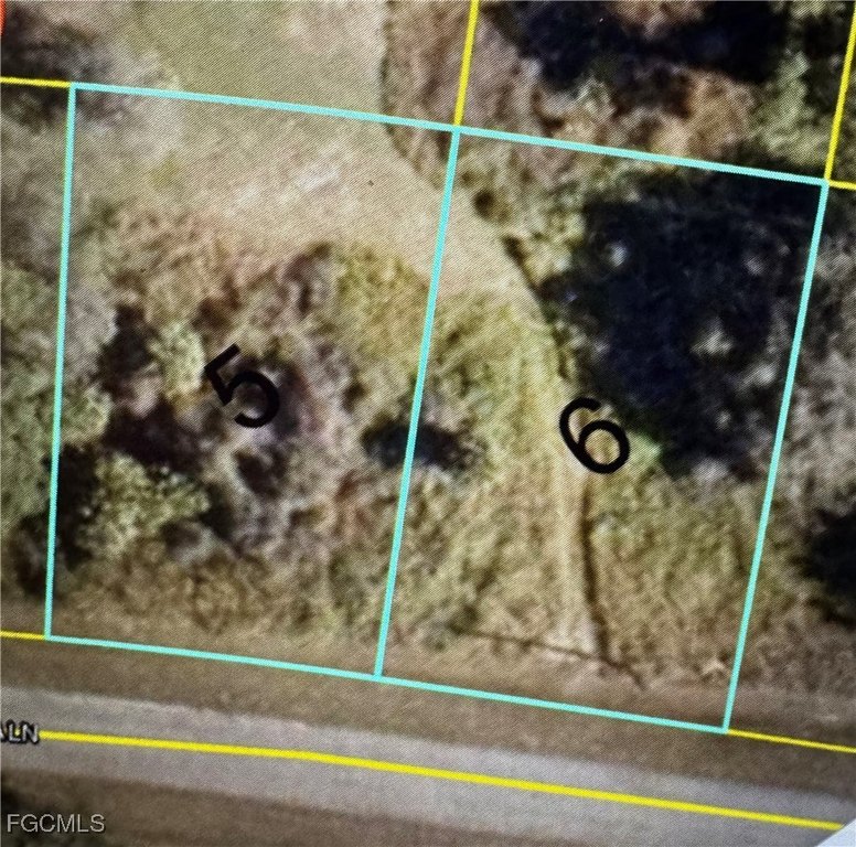 Picture 2