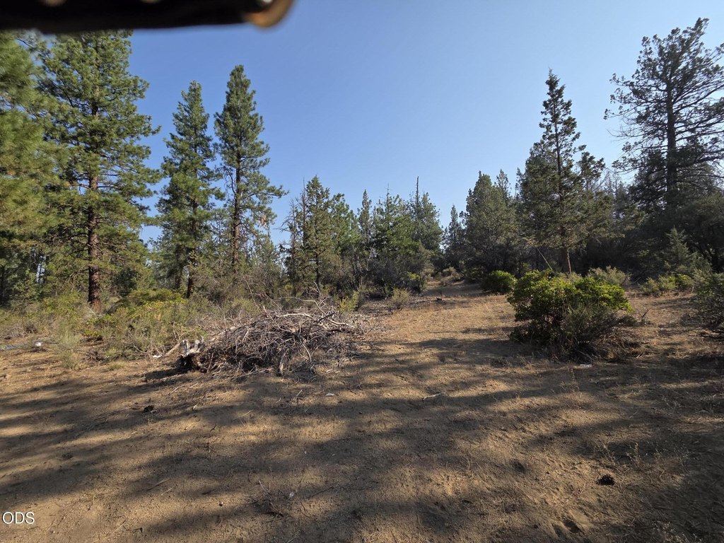 Picture 5