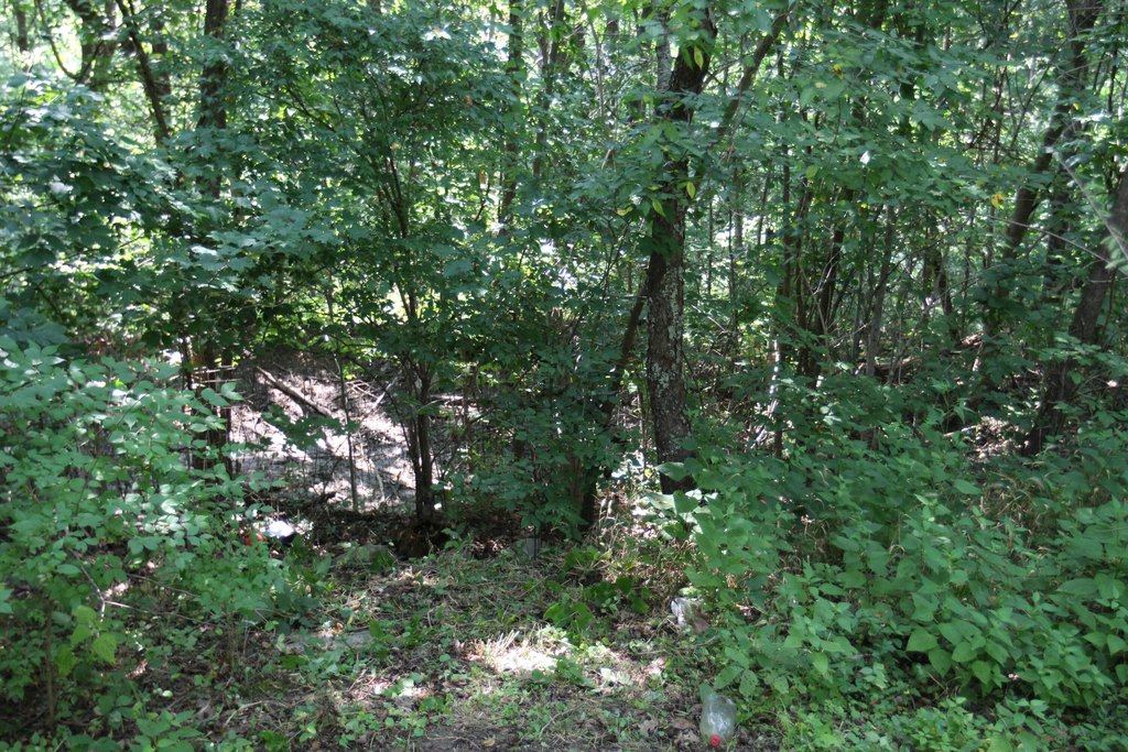 Picture 4