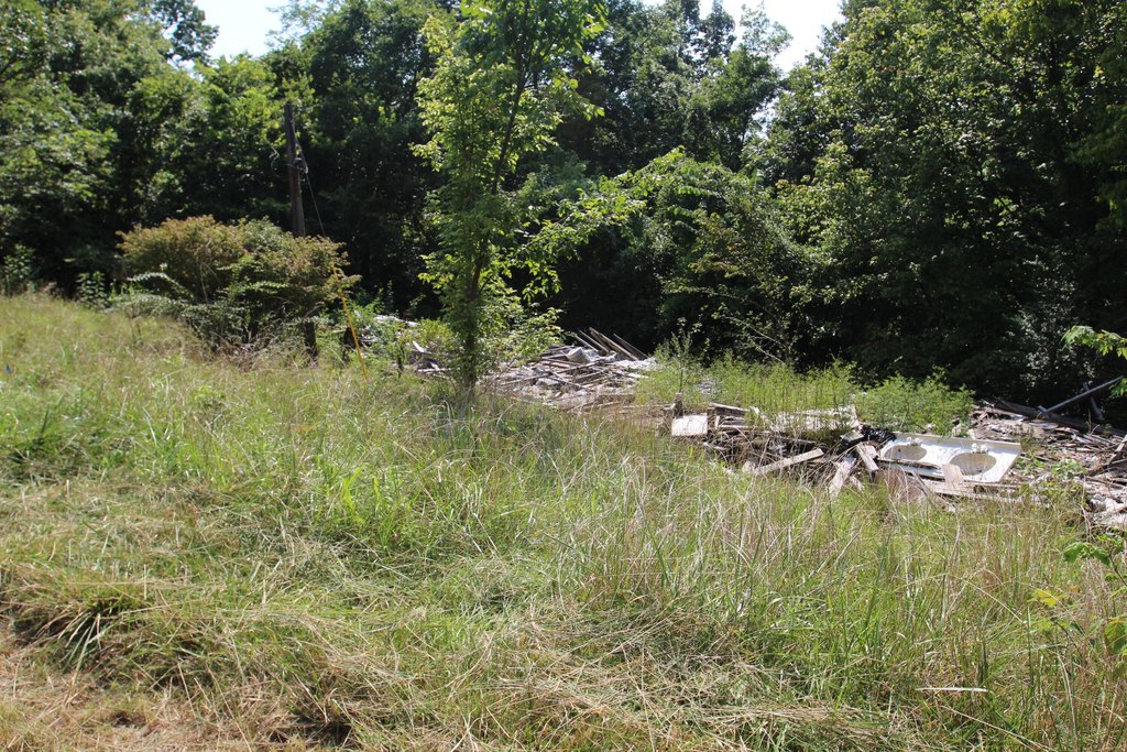 Picture 8