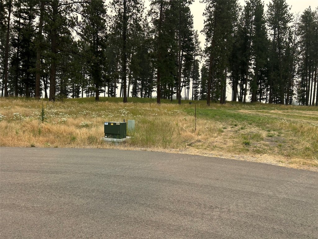 Picture 5
