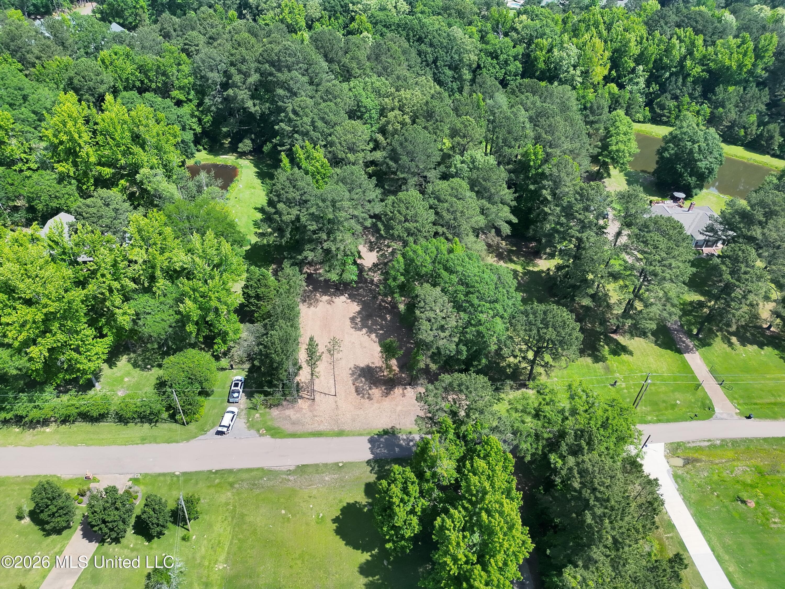 Land in Desirable Ridgeland Area