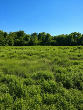 End of Cul-de-Sac Residential Tract