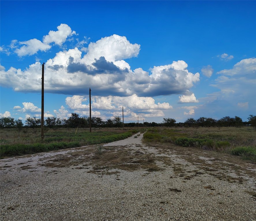Picture 4