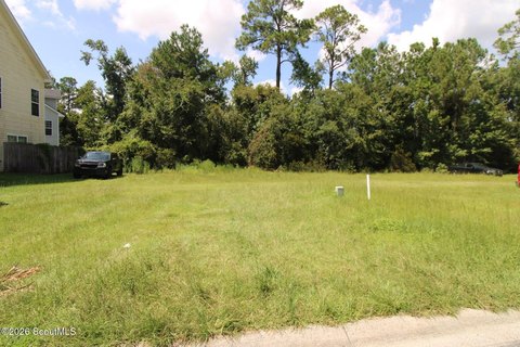 Land, Brunswick, GA