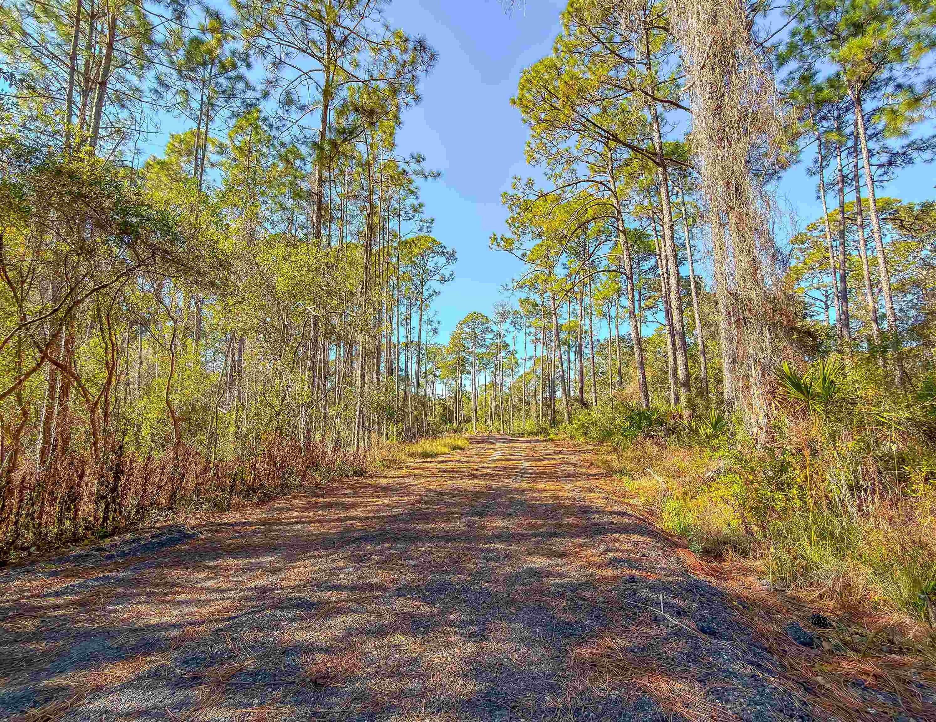 Carrabelle Land Near Gulf