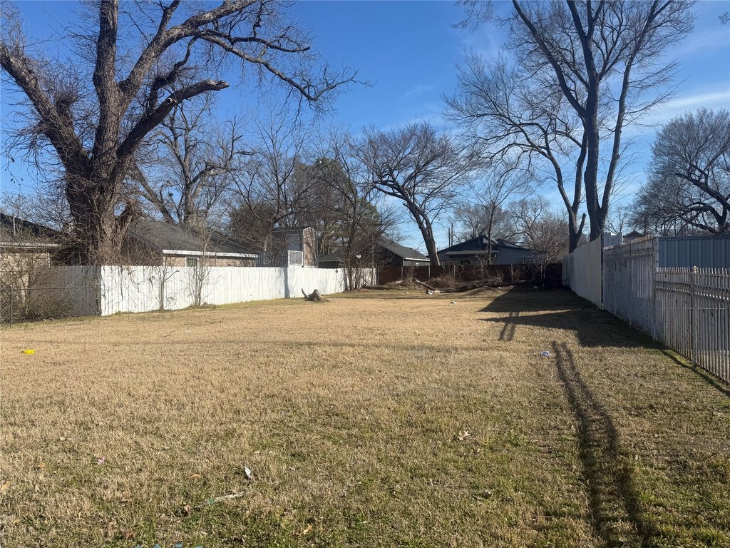 Picture 19