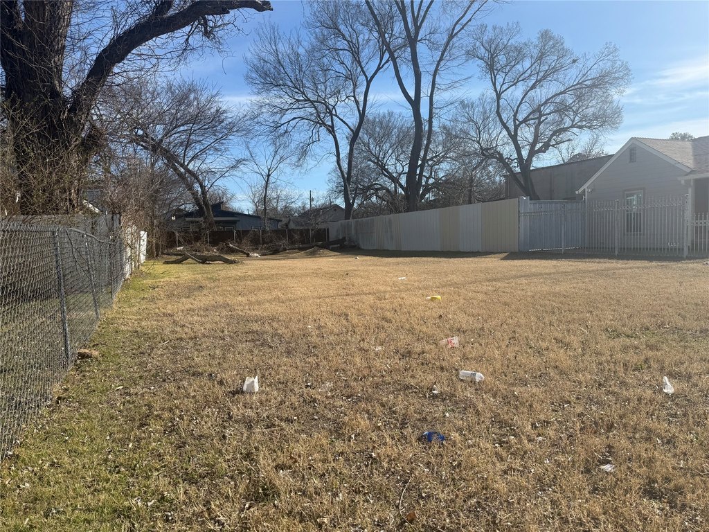 Picture 15