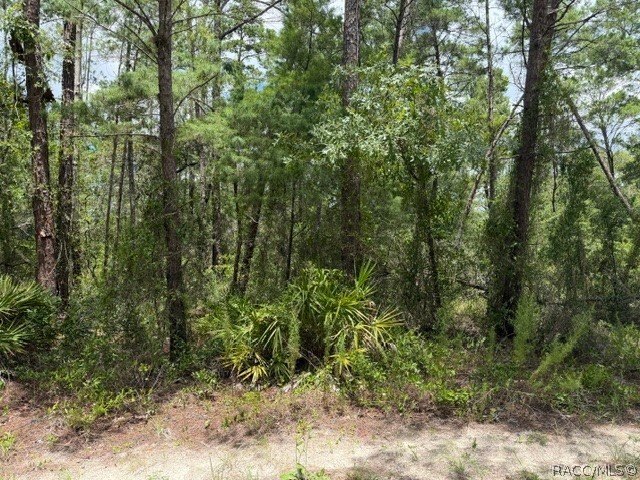 Picture 6