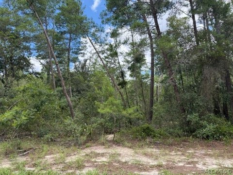 Land, Homosassa, FL