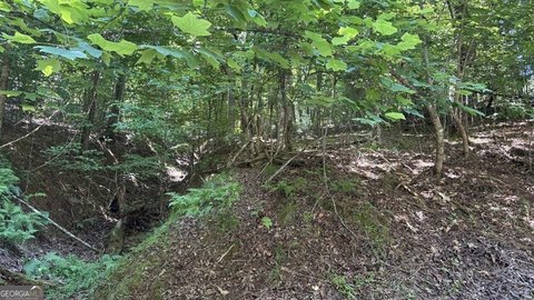 Land - Ellijay, GA