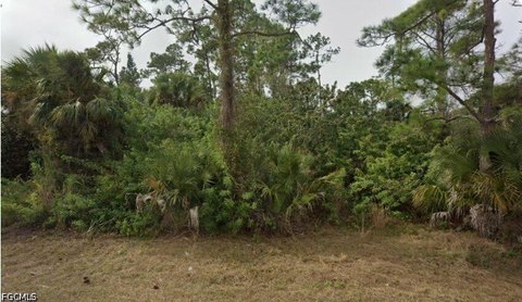 LAND - Alva, FL
