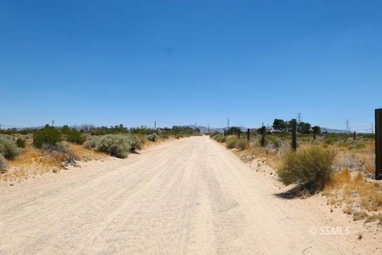 Picture 8