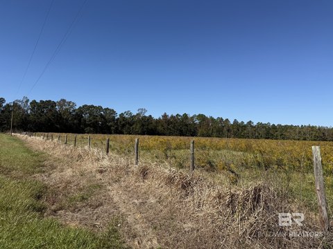 Land, Bay Minette, AL