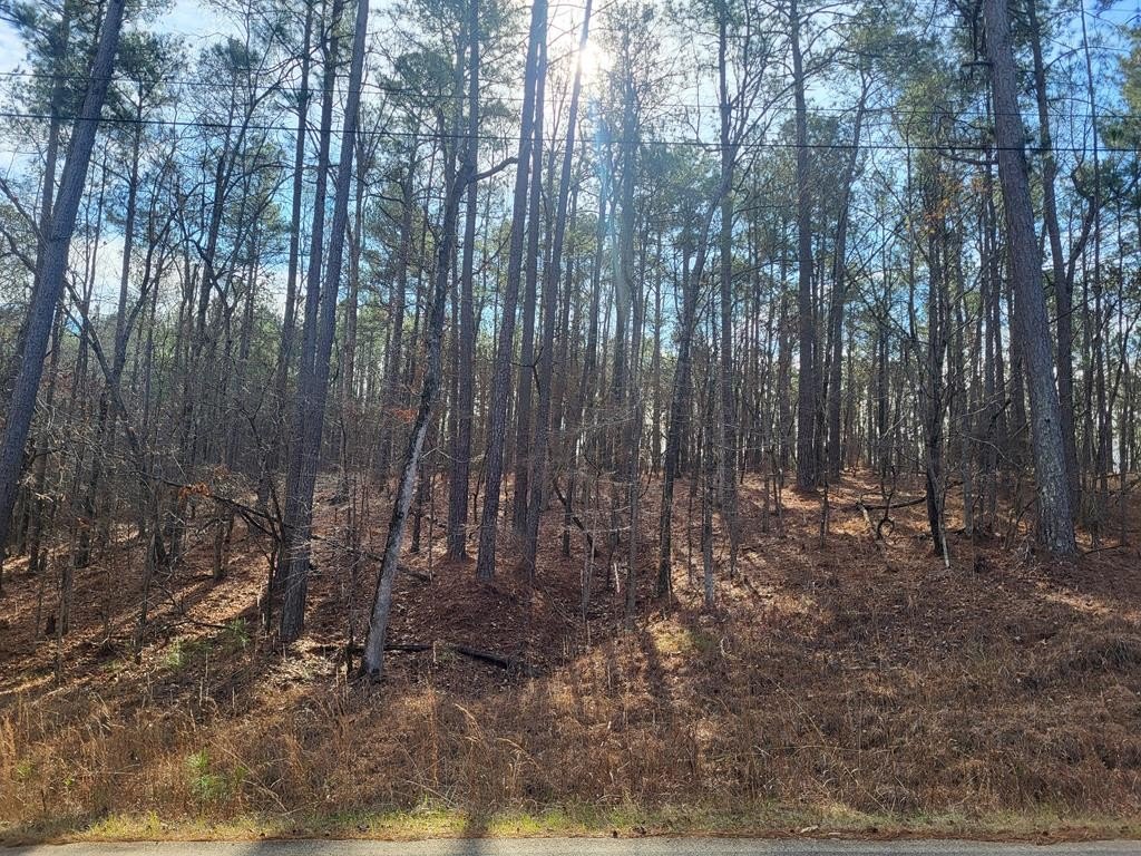 Half Acre Lake Access Lot