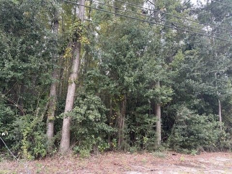 Land, Manning, SC