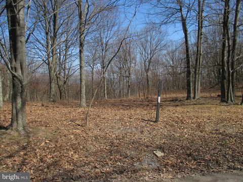 Secluded Wooded Parcel with Views